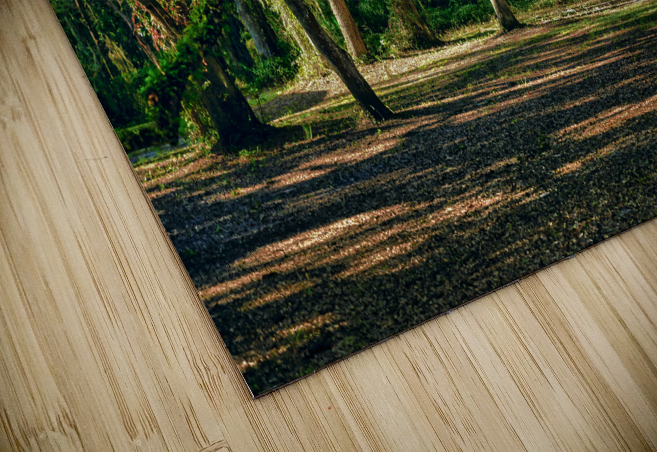 Oak Arches Dream World Images Puzzle