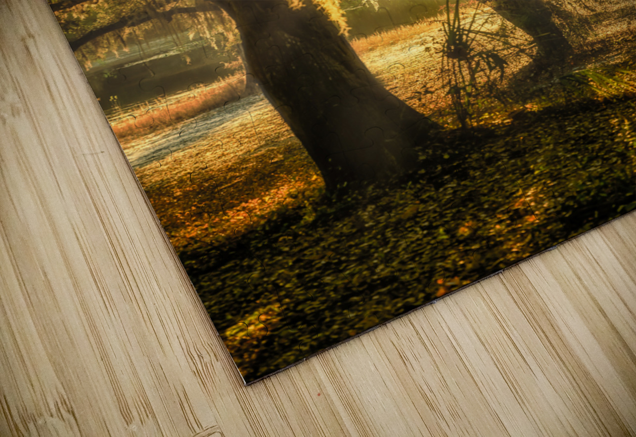 Golden Oak Light Dream World Images Puzzle
