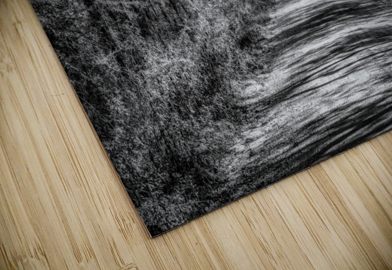 Florida Dirt Road Dream World Images Puzzle