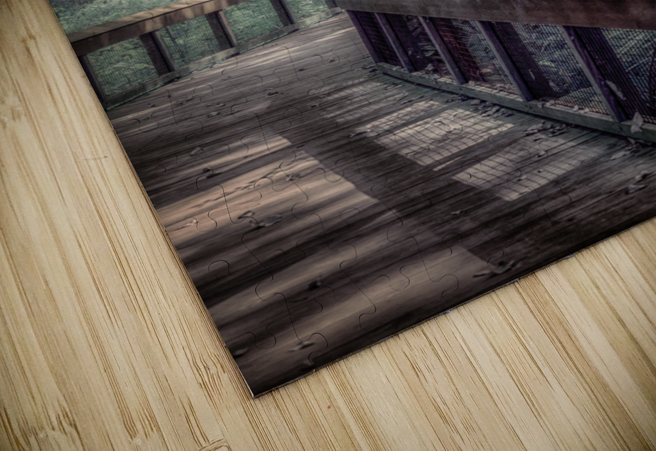 Forests Winding Welcome Dream World Images Puzzle