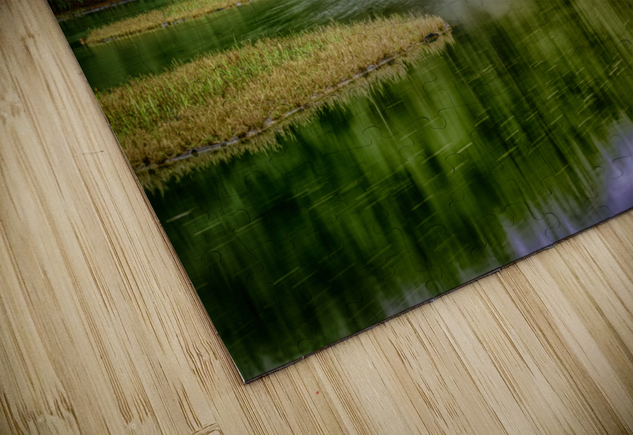 Aqua Symphony: Sholom Park Florida Dream World Images Puzzle