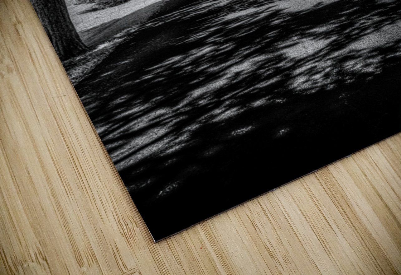 Shadows Path Beckons Dream World Images Puzzle