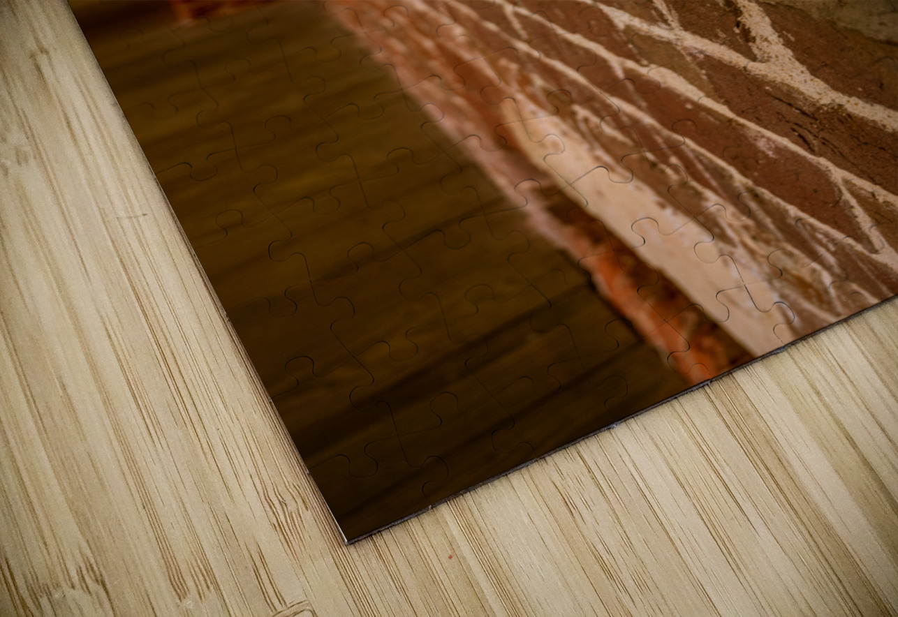 Forgotten Fortitude: Weathered Bars in Fort Macon Dream World Images Puzzle