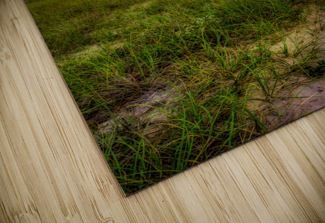 Pathway to Summer Skies Dream World Images Puzzle