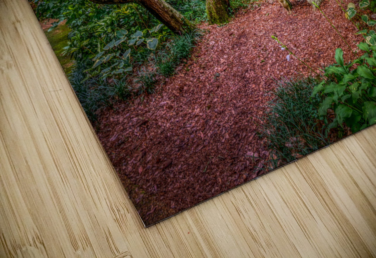 Serene Seat Dream World Images Puzzle