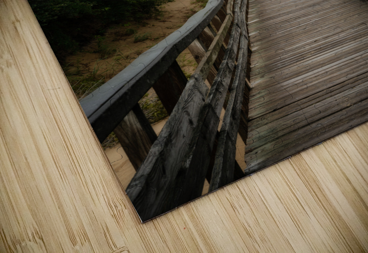 Jockey Ridge Walkway Dream World Images Puzzle