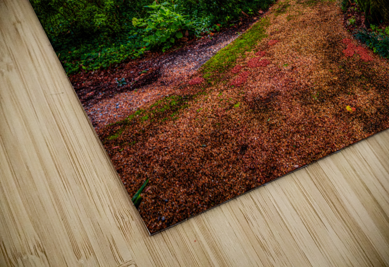 Exploring the Enchantment: A Journey through Elizabethan Gardens in Manteo North Carolina Dream World Images Puzzle