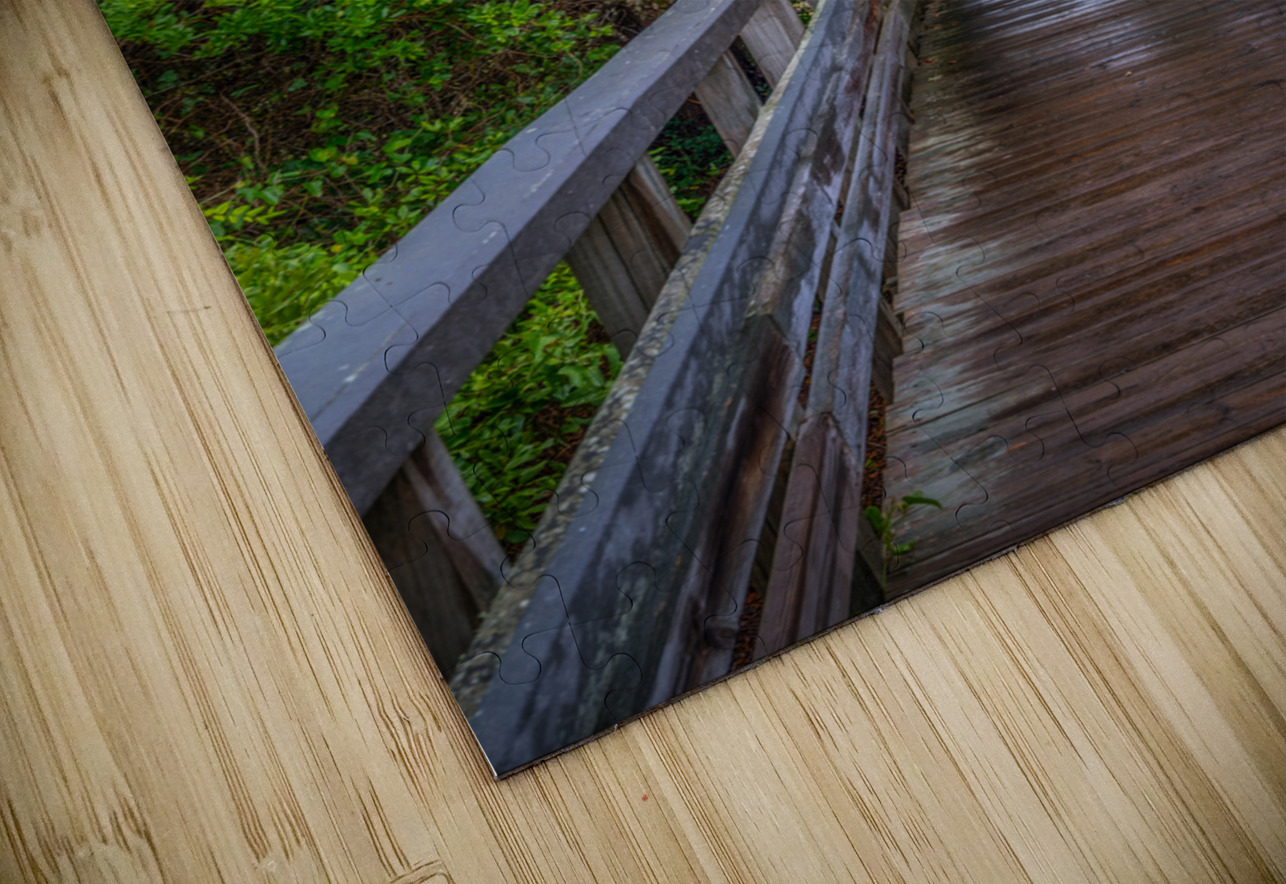 Jockey Boardwalk Dream World Images Puzzle