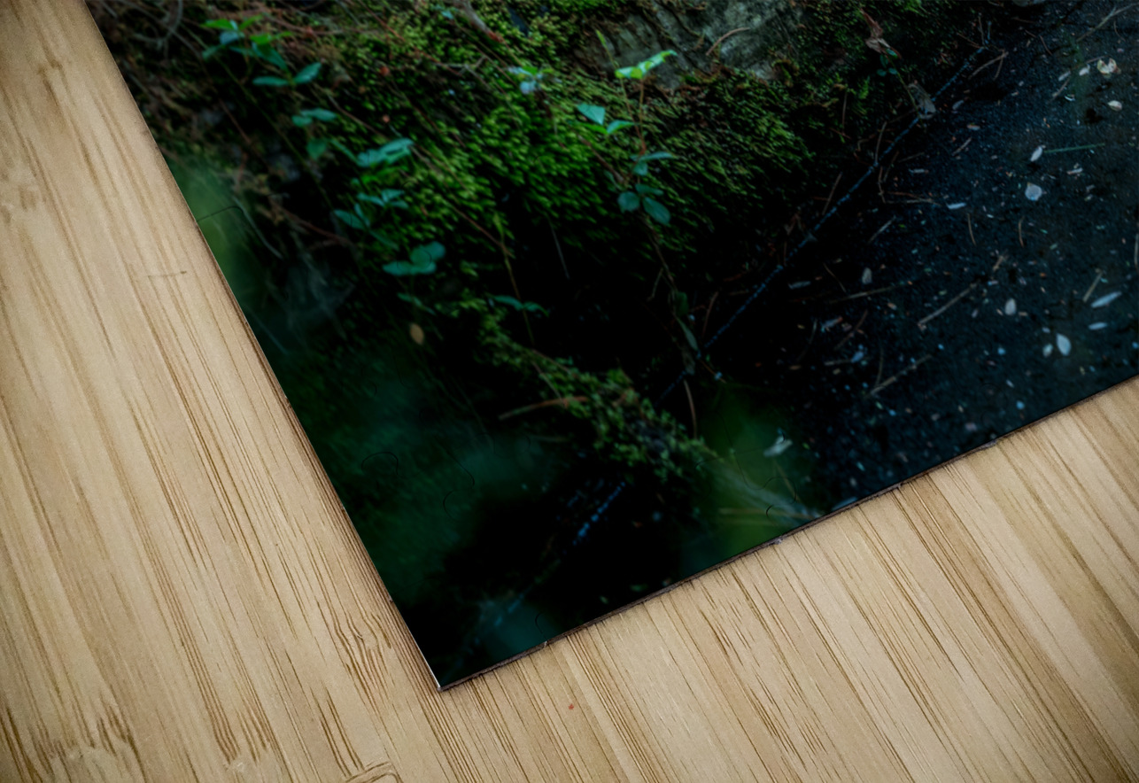 Fungi and Dirty Pool Dream World Images Puzzle