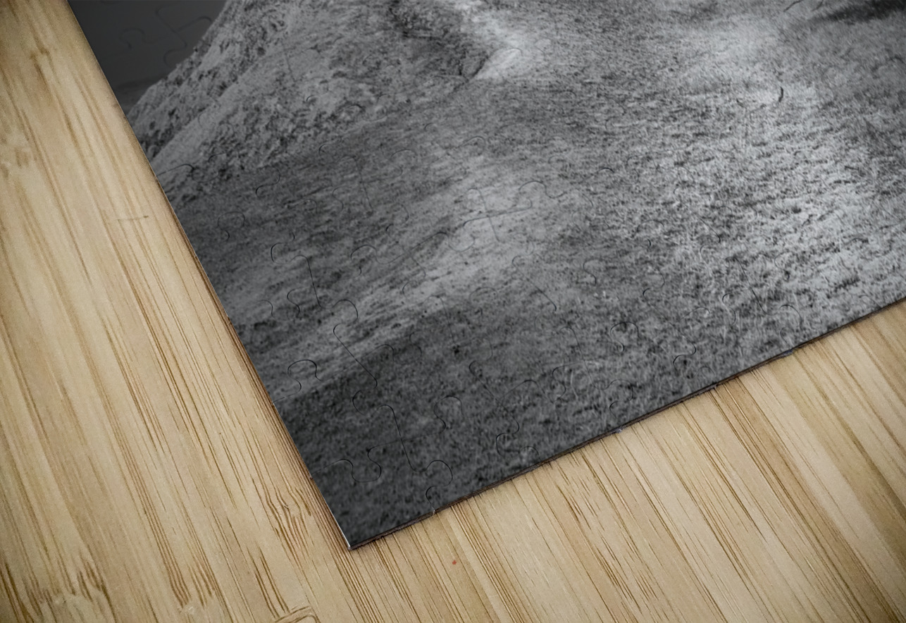 Silent Beauty: Navigating the Badlands with My Companions Dream World Images Puzzle