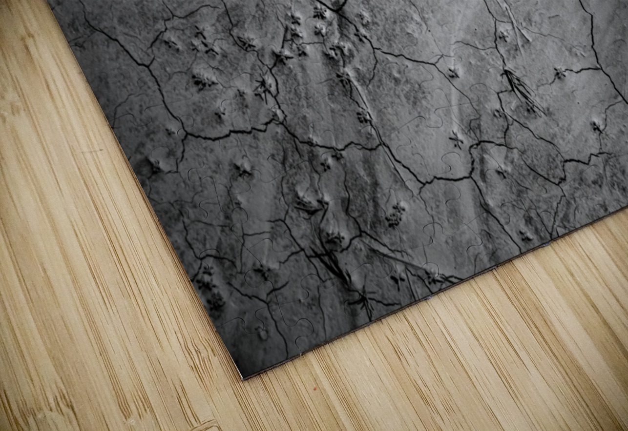 Deserted Elegance: Unearthing Natural Patterns in the Badlands Dream World Images Puzzle