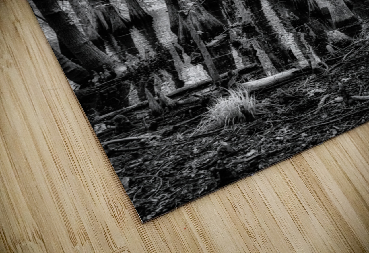 Cypress Whispers Dream World Images Puzzle