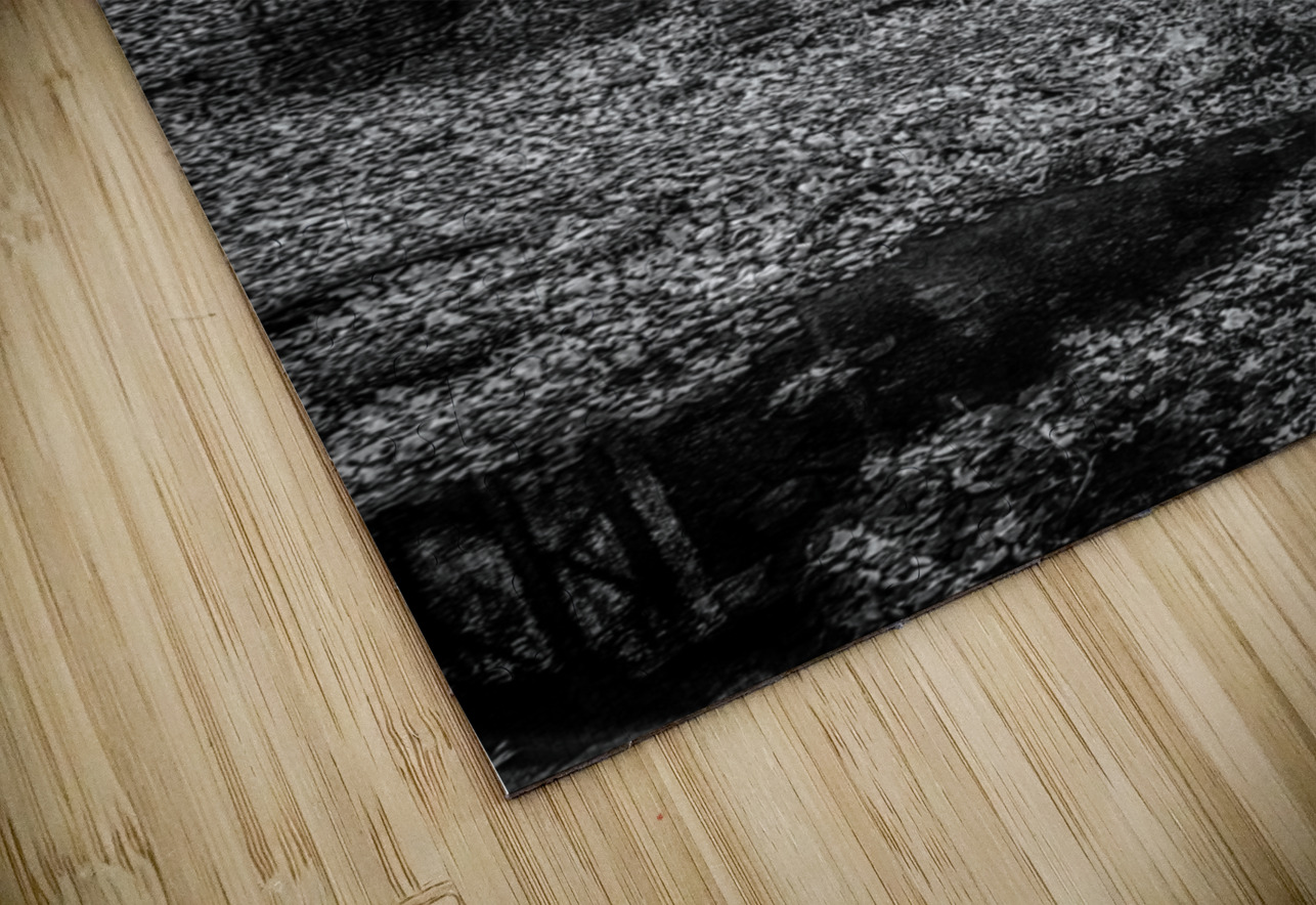 Whispers of Time: Rice Grist Mill Dream World Images Puzzle