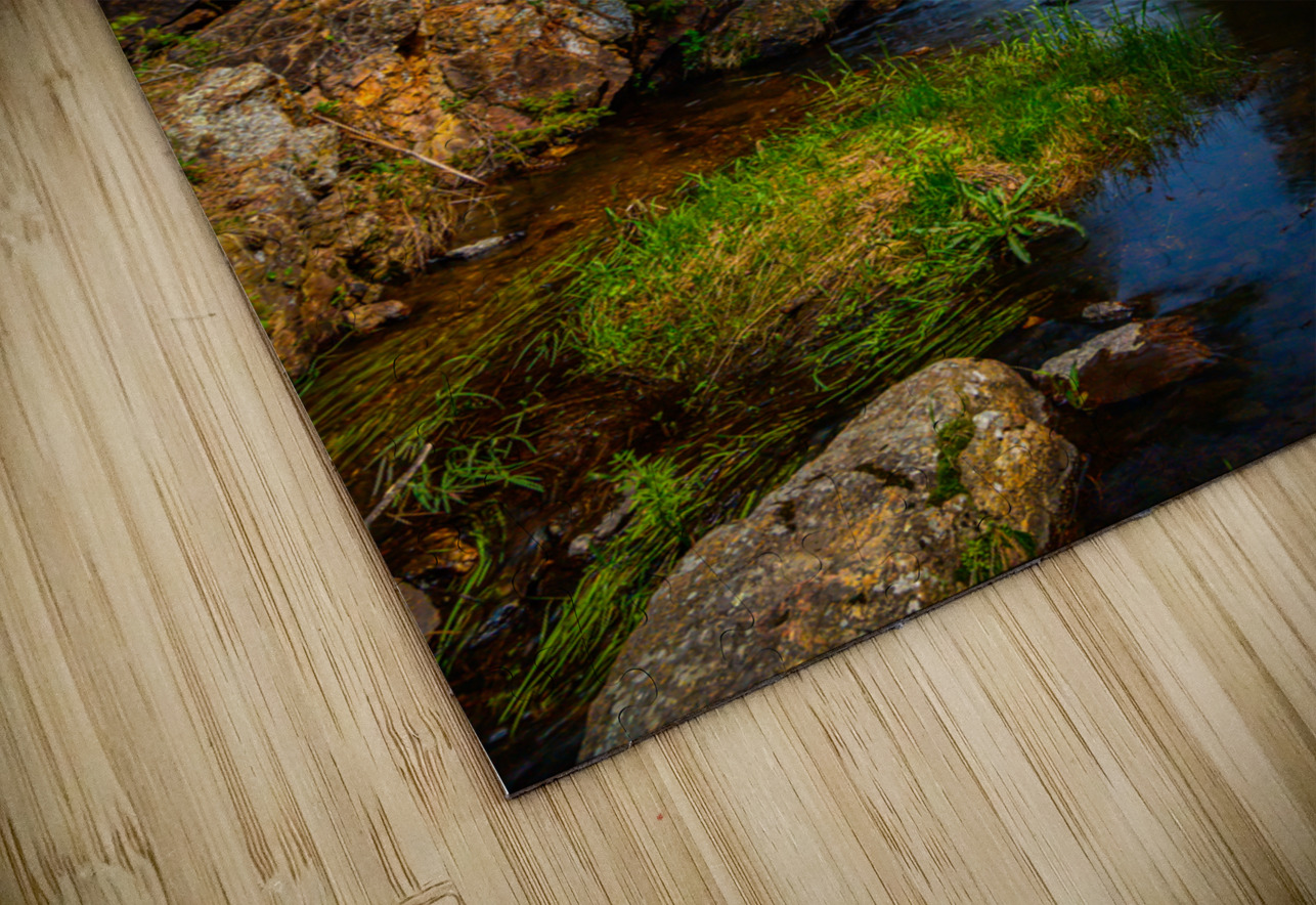 Bismarcks Hidden Cascade Dream World Images Puzzle