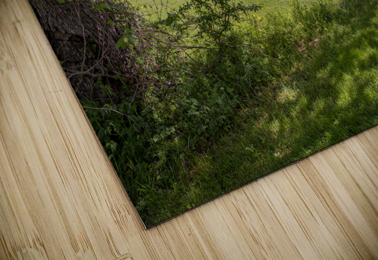 Farmhouse -6 Dream World Images Puzzle