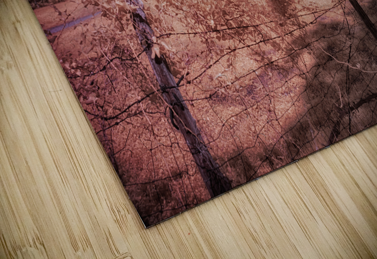 Farmhouse -2 Dream World Images Puzzle