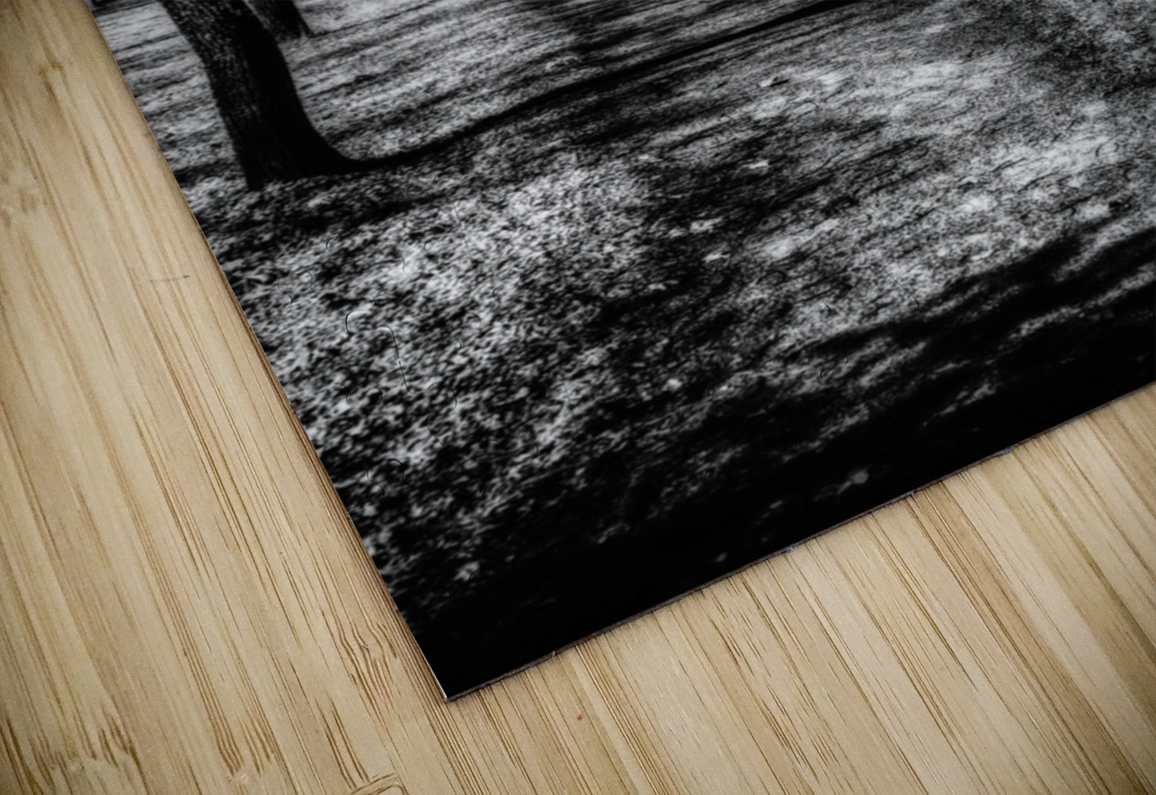 Solitary Trails: Eerie Path Near Knoxville Dream World Images Puzzle