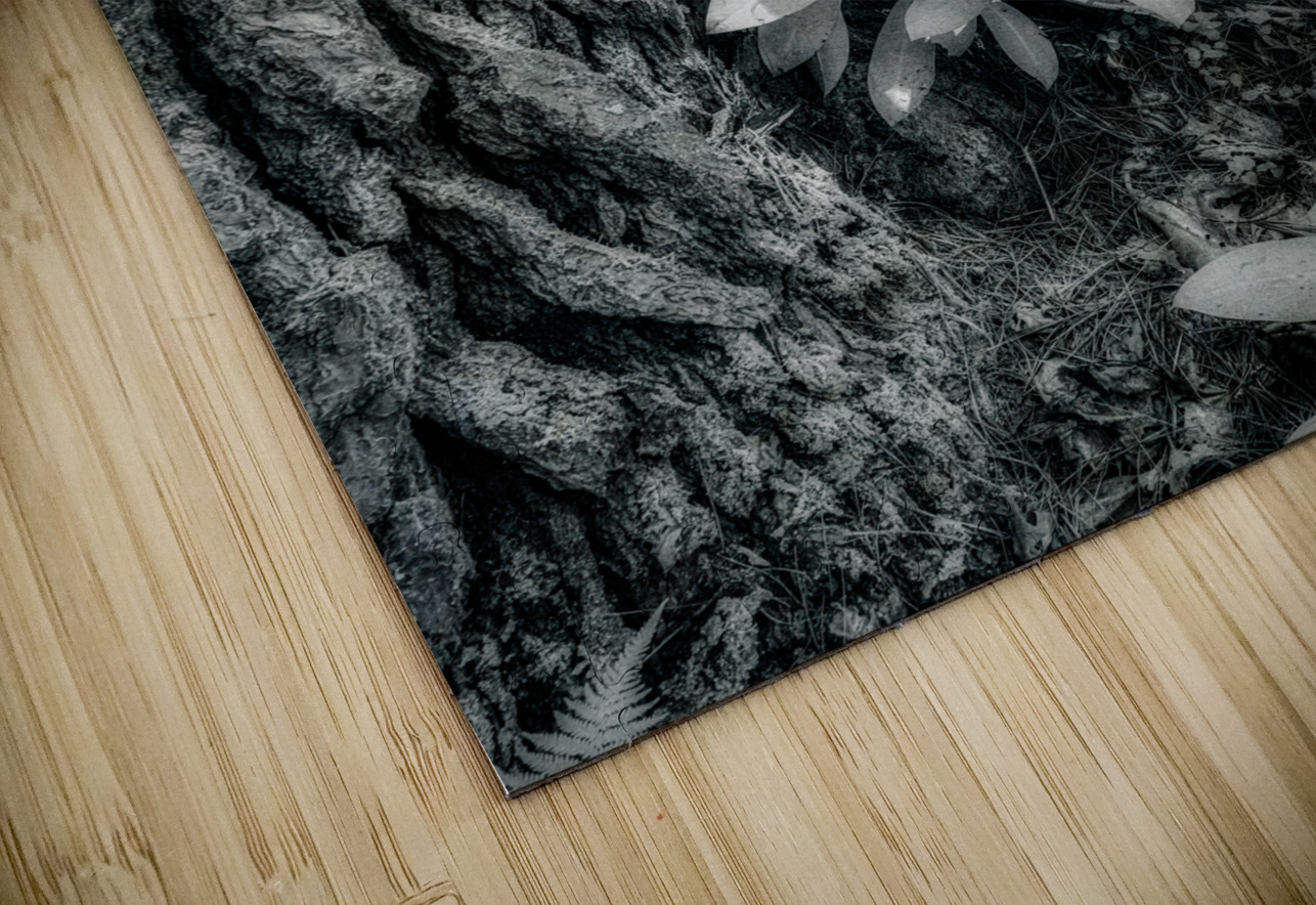 Shadows and Light Dance: Kentucky Leaves Dream World Images Puzzle