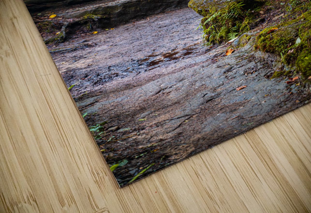 Fiery Stump Dream World Images Puzzle