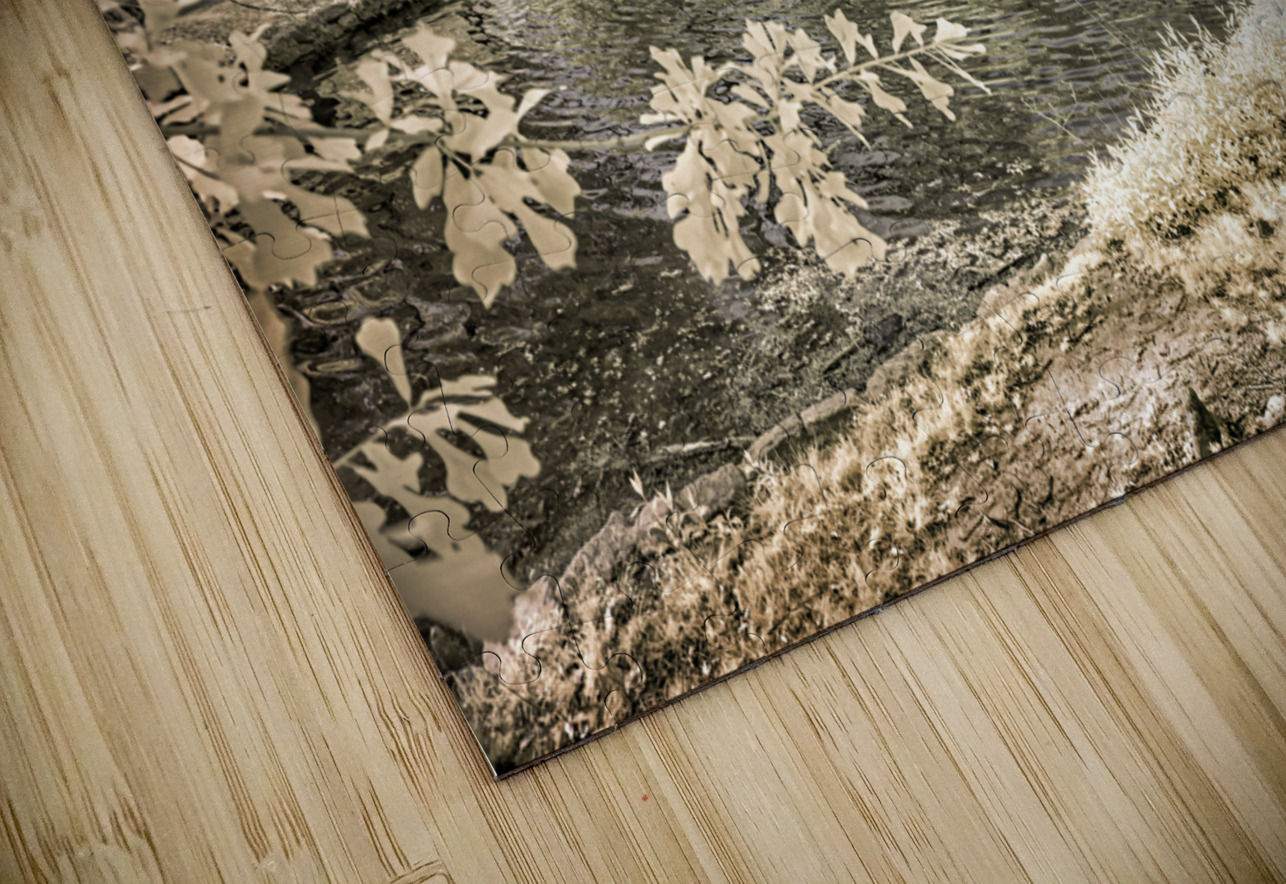 Lake Edge and Overhanging Branches: Sam Houston Site Dream World Images Puzzle