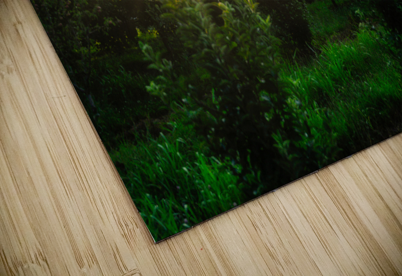 Peaks of Otter Dream World Images Puzzle