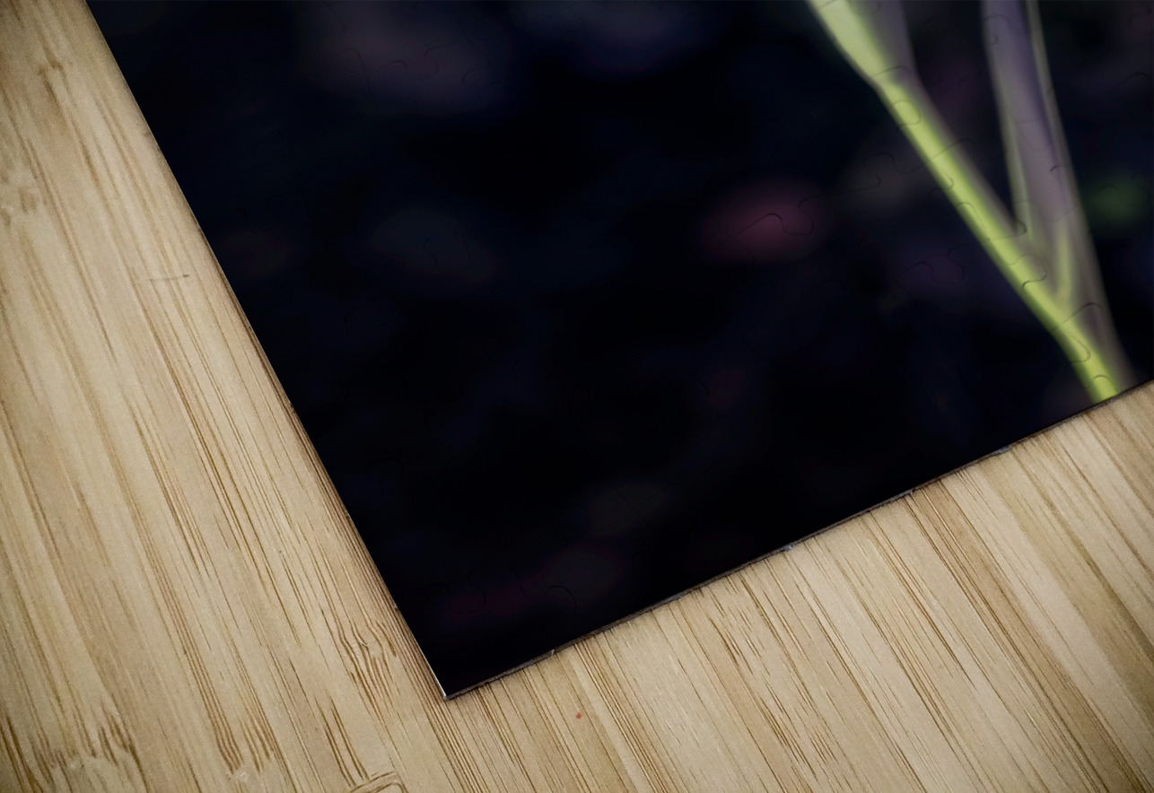 Texas Flower Dream World Images Puzzle