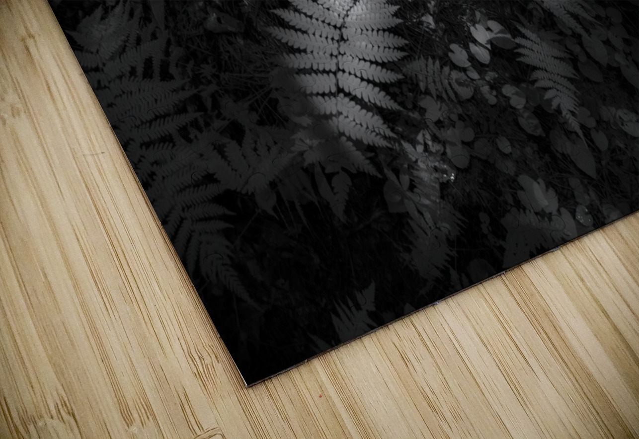 Lighted Fern Dream World Images Puzzle