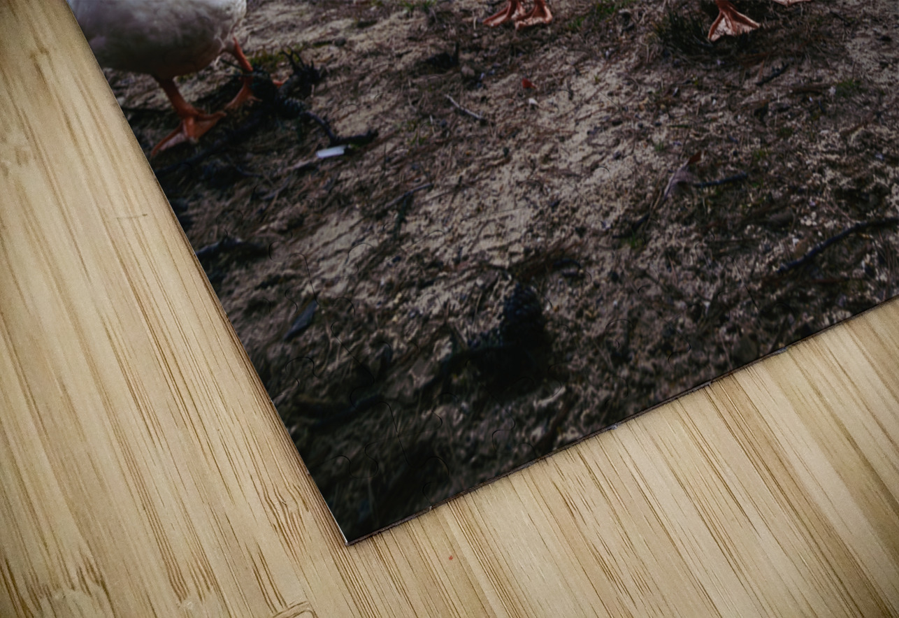 We are Coming Dream World Images Puzzle