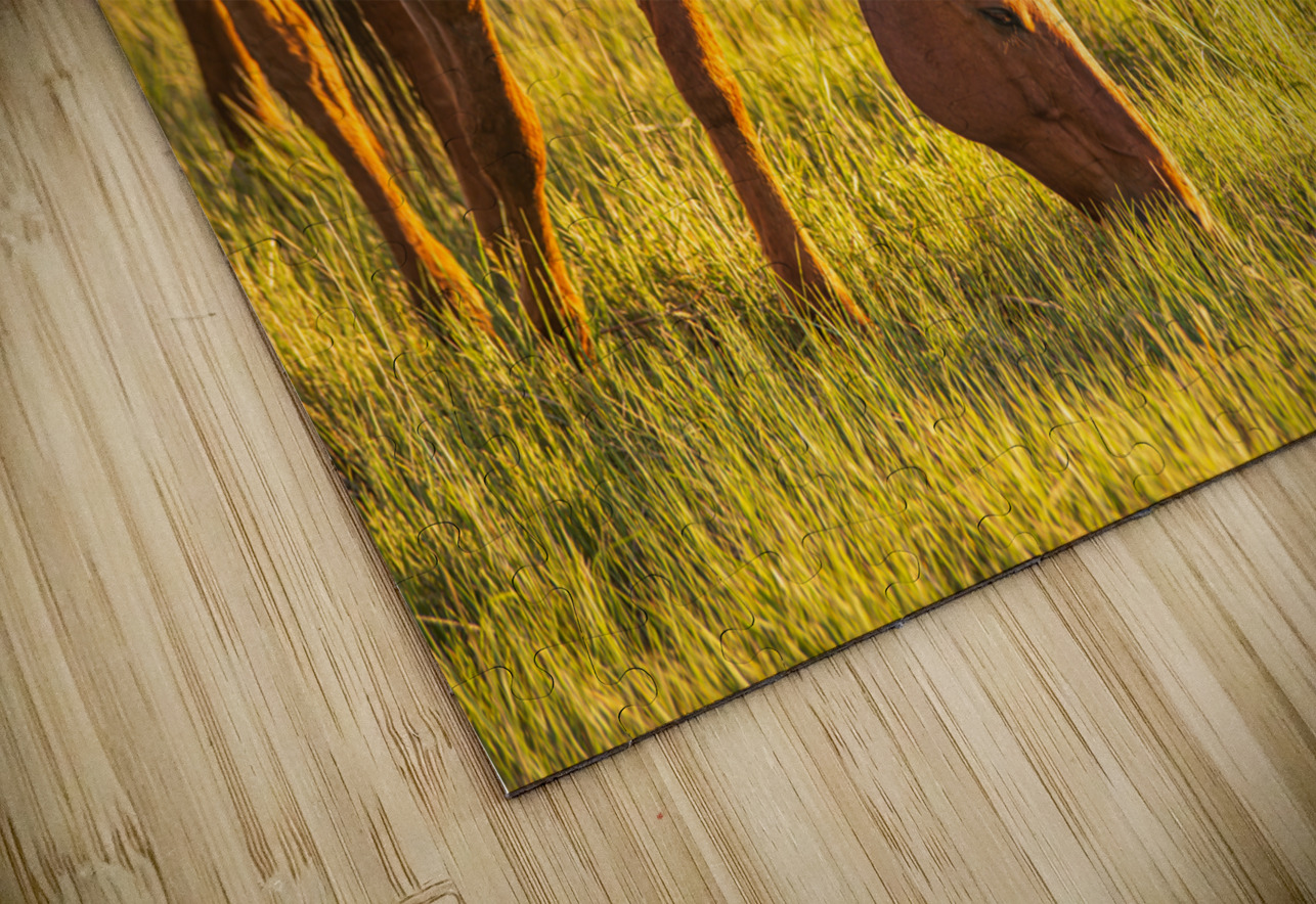 Golden Grazing Dream World Images Puzzle