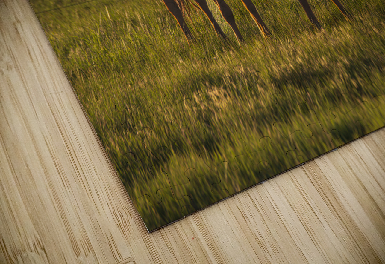 Equine Harmony in Billings Dream World Images Puzzle