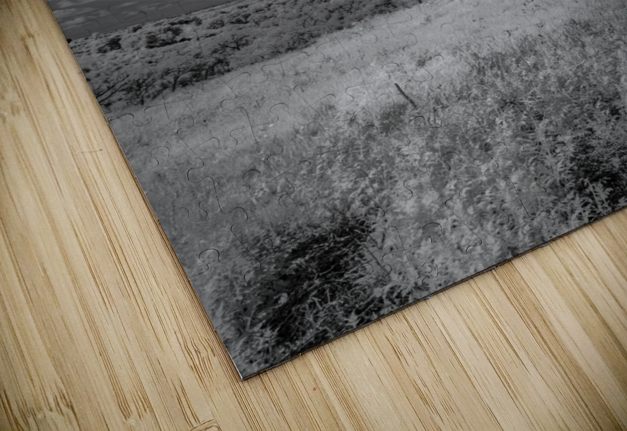 Symphony of Light and Shadow Dream World Images Puzzle