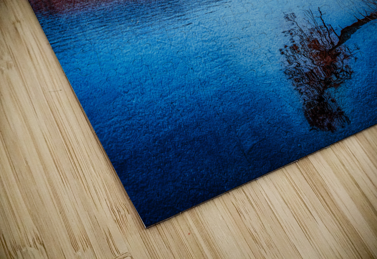 Arboreal Embrace: Trees Embracing the Tranquil Waters Dream World Images Puzzle