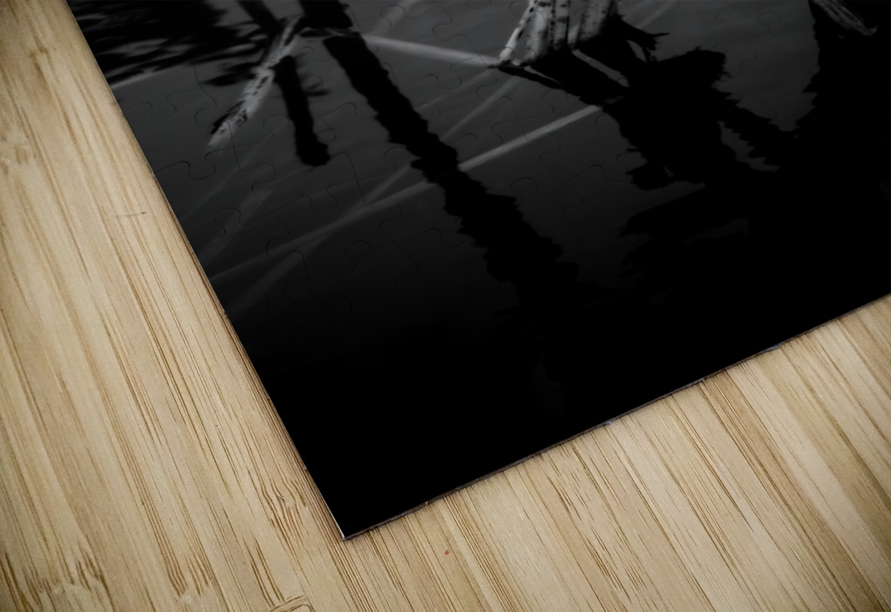 Sylvans Skeleton Waltz Dream World Images Puzzle