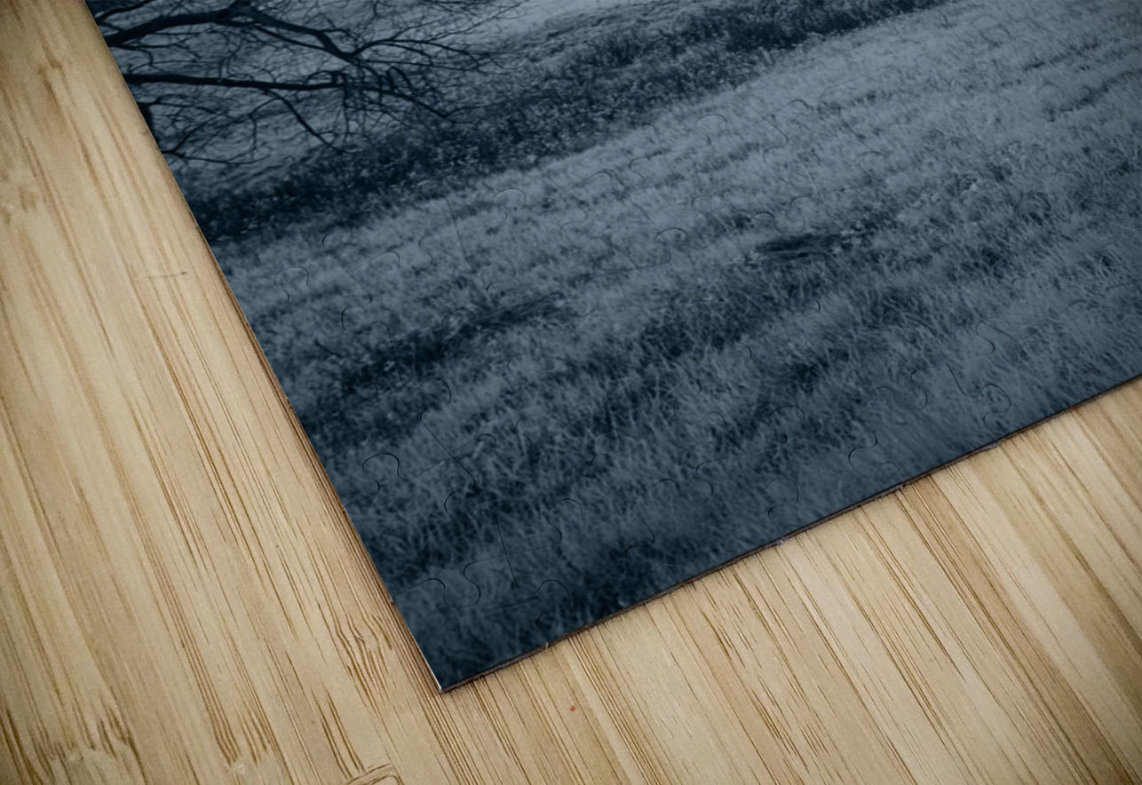 Solace in Solitude: A Blue Lighted Tree in Infrared Dream World Images Puzzle