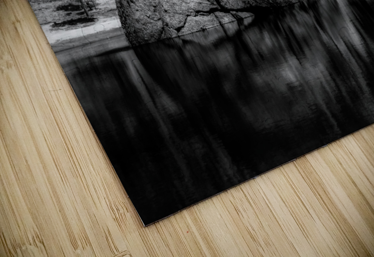 Enigmatic Elegance: Sylvan Lakes Monochrome Marvel Dream World Images Puzzle