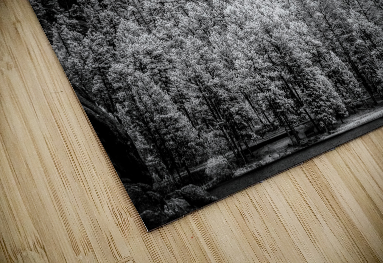 Sylvan Shadows: A Moody Encounter with Natures Drama in Custer State Park Dream World Images Puzzle