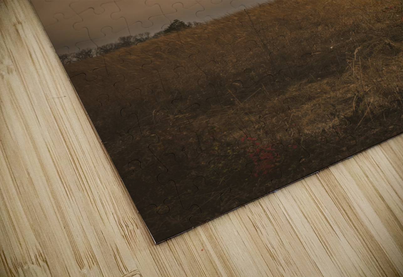 Golden Light Revelation Dream World Images Puzzle