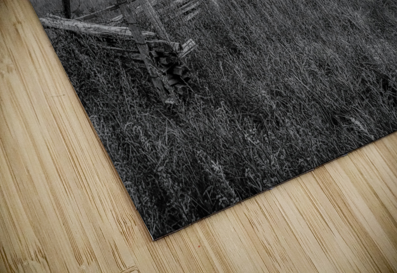 Pastoral Passage: Overgrown farm lane in Gettysburg Dream World Images Puzzle