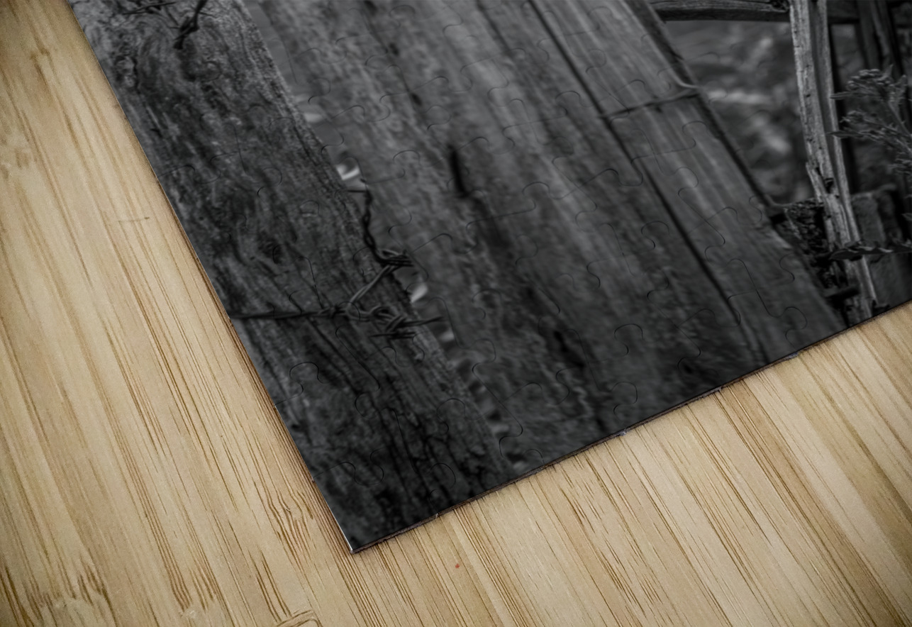 Weathered Gate Dream World Images Puzzle