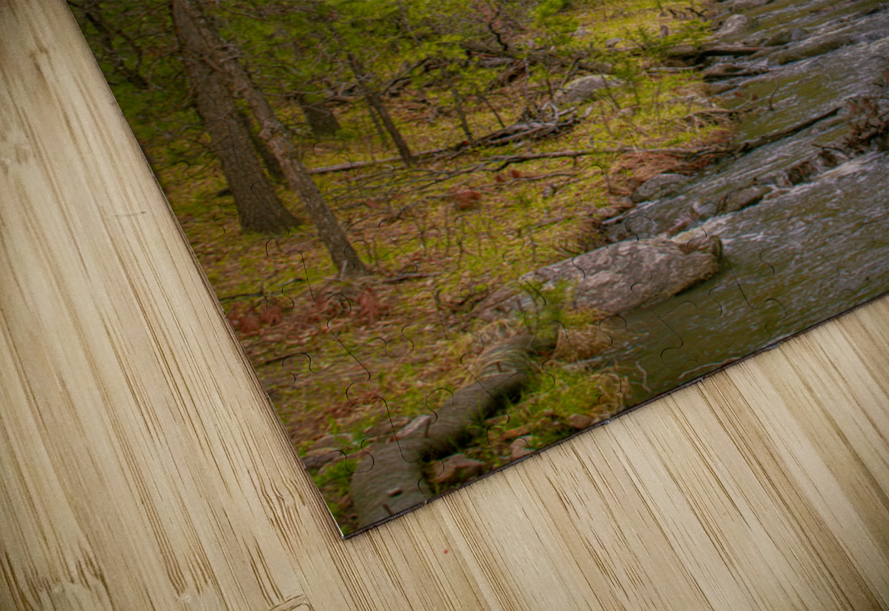 Autumnal Glow: Exploring Grace Coolidge Creeks Vibrant Palette  Dream World Images Puzzle