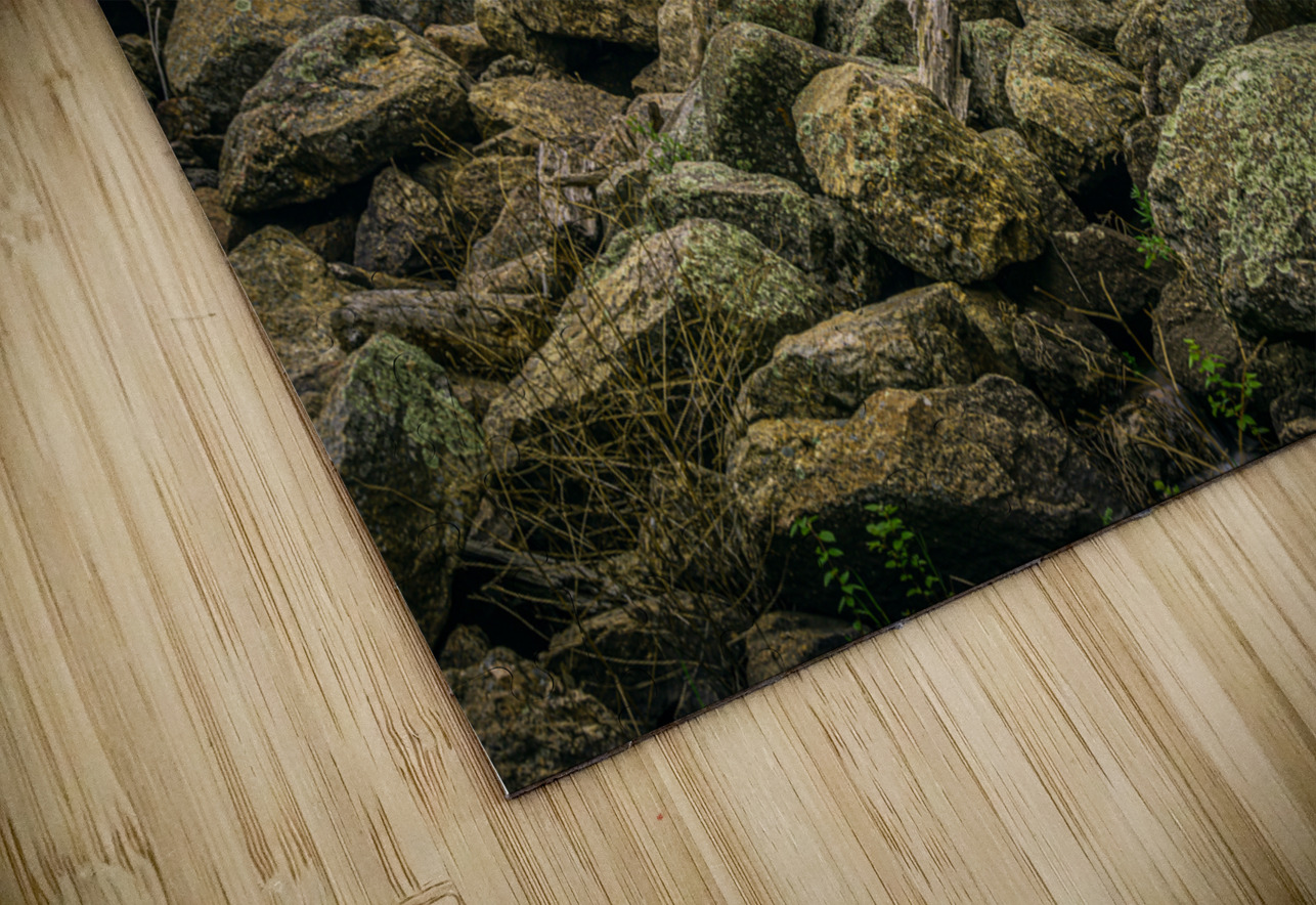 Enchanting Serenity: Exploring Grace Coolidge Creek Dream World Images Puzzle