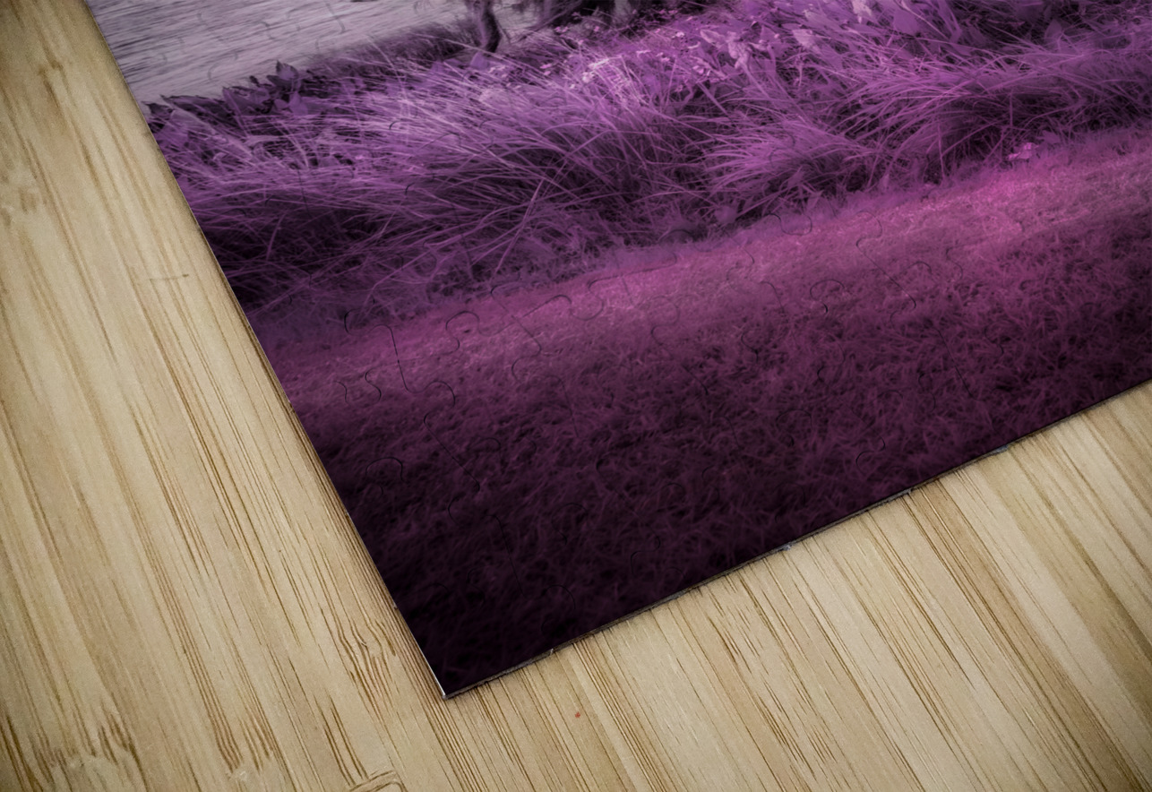 Purple Shelter: A Tranquil Stroll Through Venetian Gardens in Le Dream World Images Puzzle