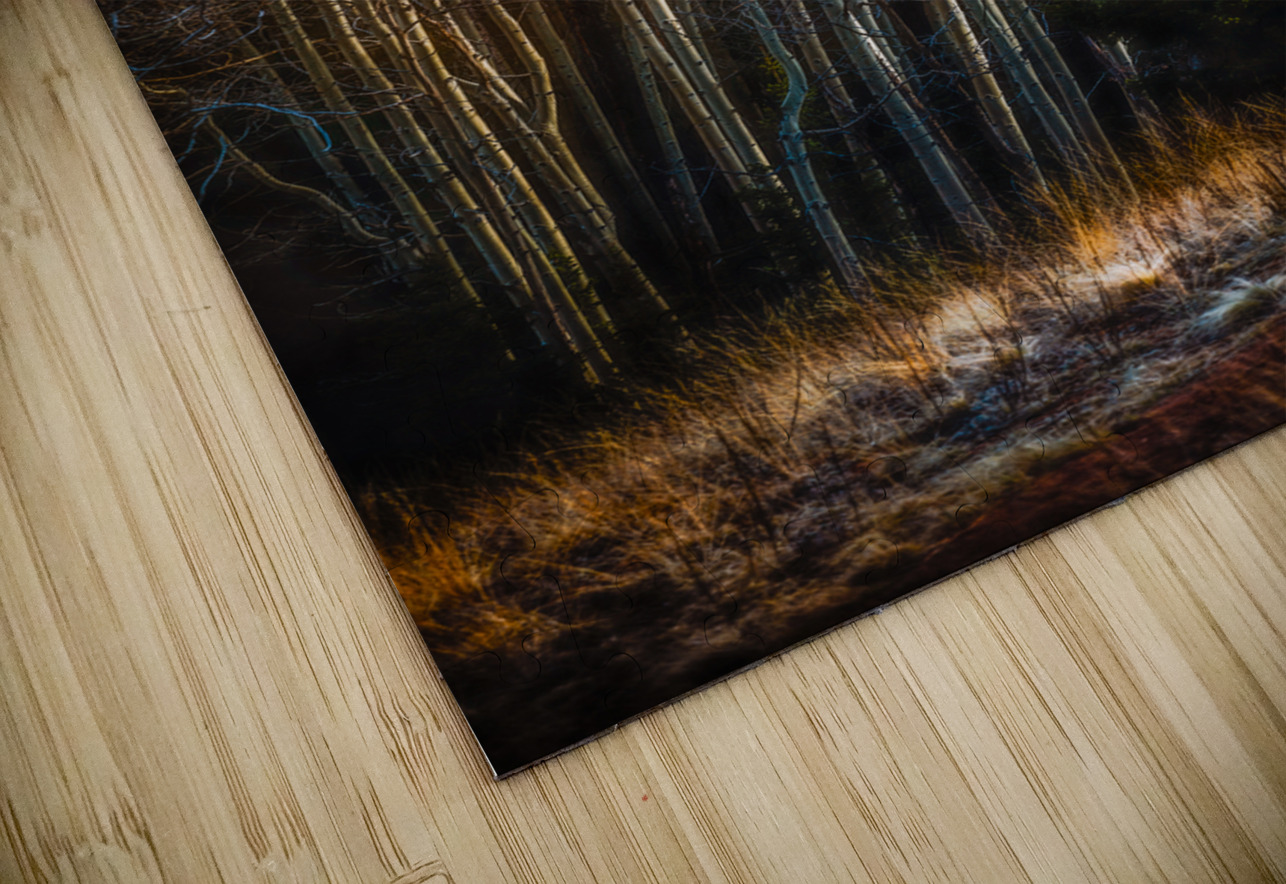 Mueller Aspen Series: Whispers of Fall Dream World Images Puzzle