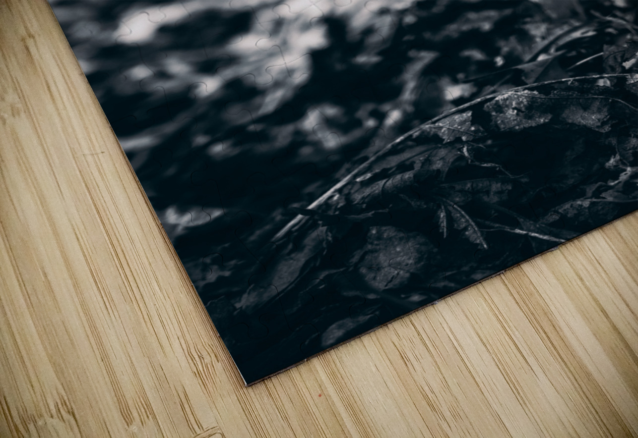 Mystical Fungi: Blue Shroom in the Enchanted Woods Dream World Images Puzzle