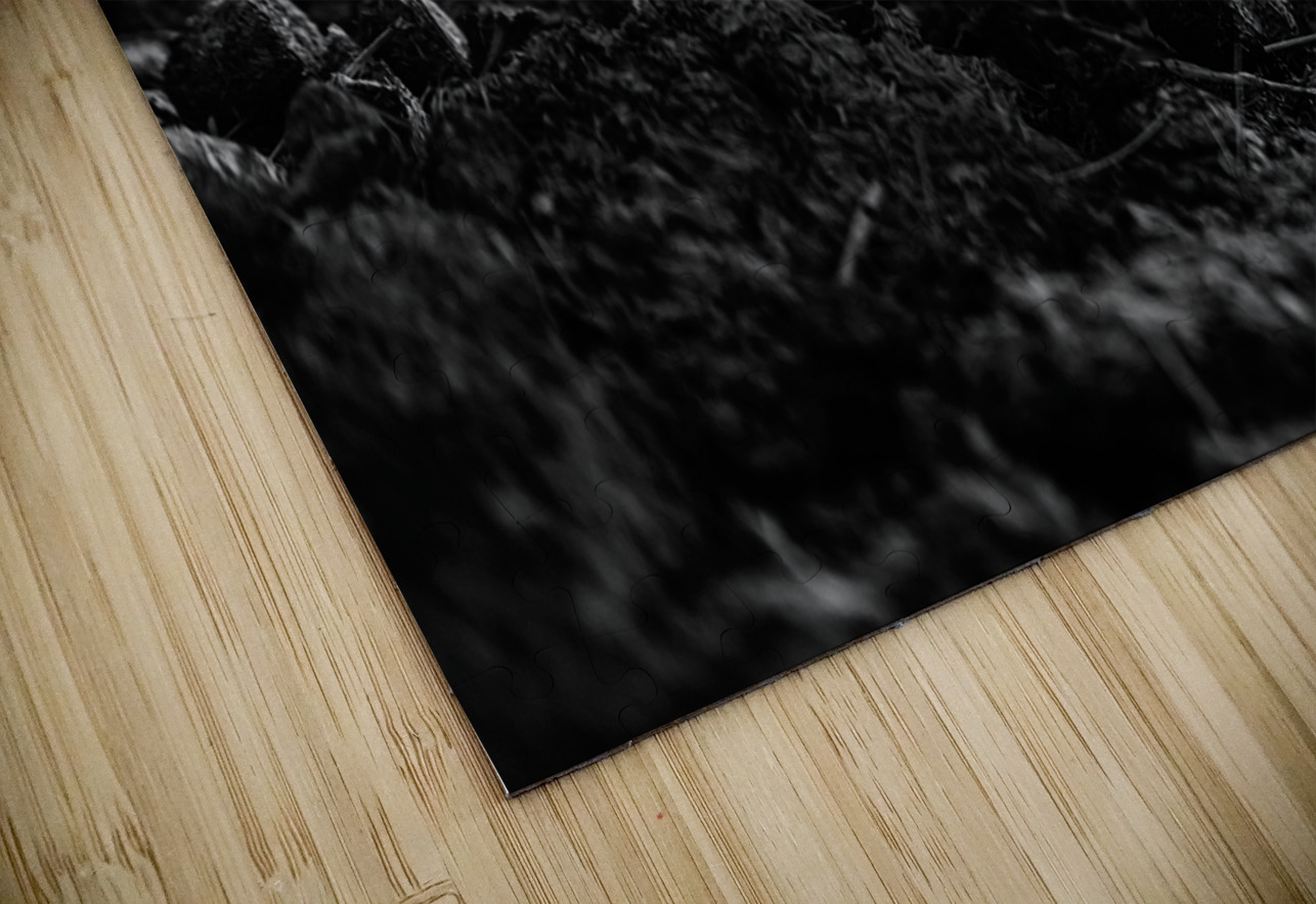 Montana Ranch Shroom: Golden Hoof Fungus Dream World Images Puzzle