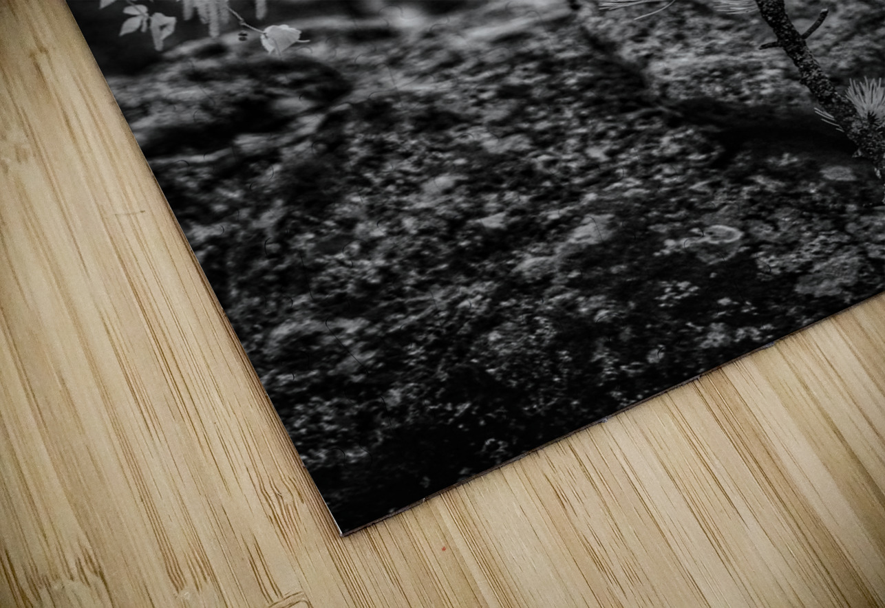 Exploring Sylvan Lake: A Magical Encounter with a Tiny Pine Dream World Images Puzzle