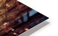 Auburn Forest HD Metal print