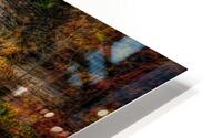 Autumns Embrace: A Fairytale Portal at Watkins Glen State Park HD Metal print