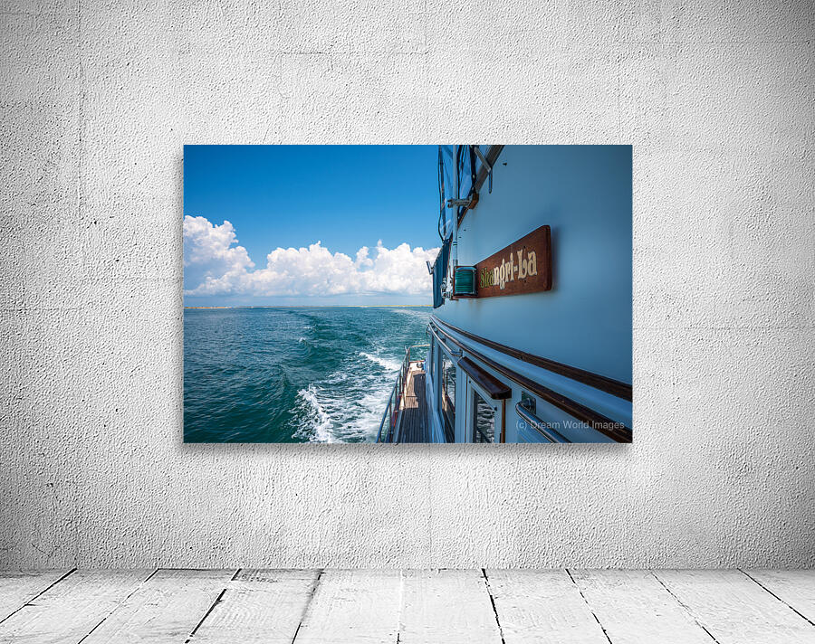 Shangri-La -1 Wall Preview