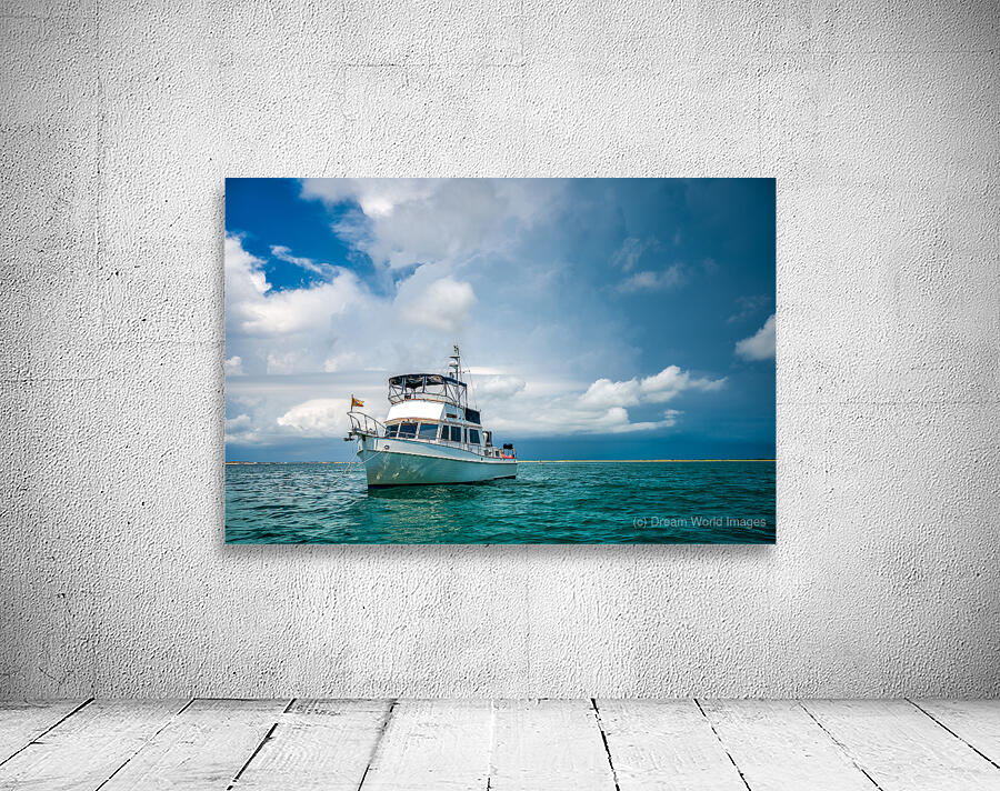 Shangri-La -12 Wall Preview